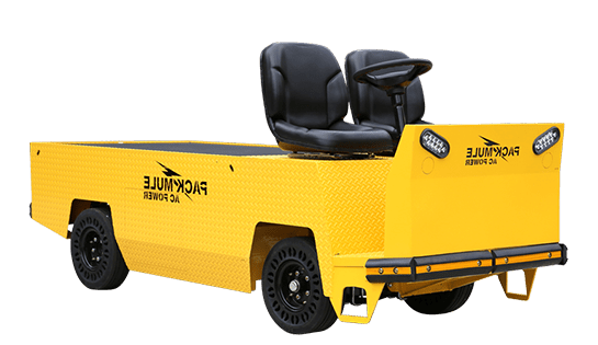Burden Carrier | Electric Utility Vehicle | Pack Mule
